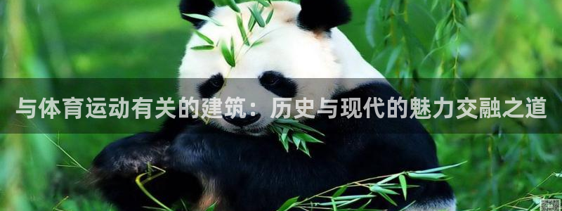bbin视讯下：与体育运动有关的建筑：历史与现代的魅力交融之道