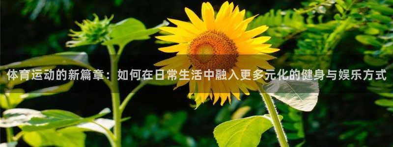 bbin视讯游戏平台：体育运动的新篇章：如何在日常生活中融入更多元化的健身与娱乐方式