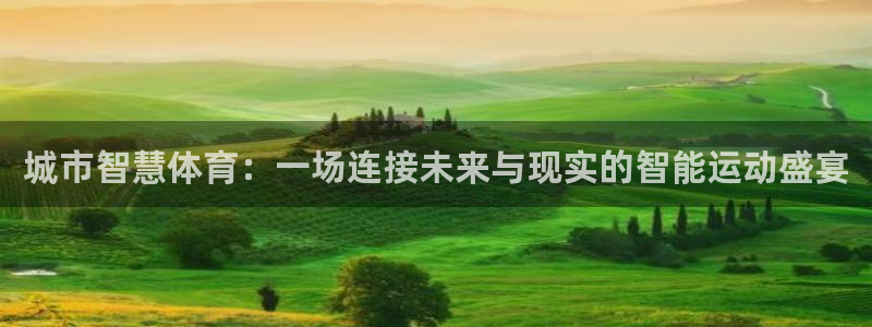 bbin视讯游戏官网：城市智慧体育：一场连接未来与现实的智能运动盛宴