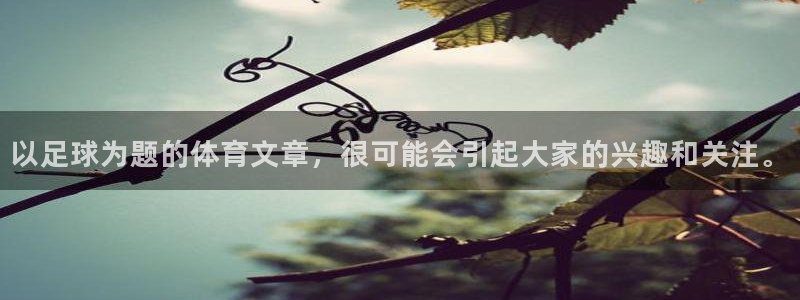 bbin视讯：以足球为题的体育文章，很可能会引起大家的兴趣和关注。