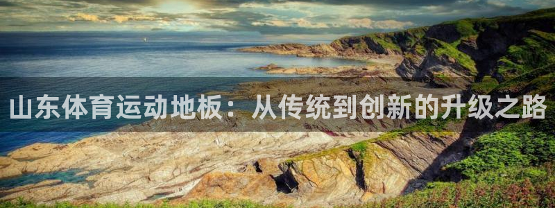 bbin视讯下：山东体育运动地板：从传统到创新的升级之路