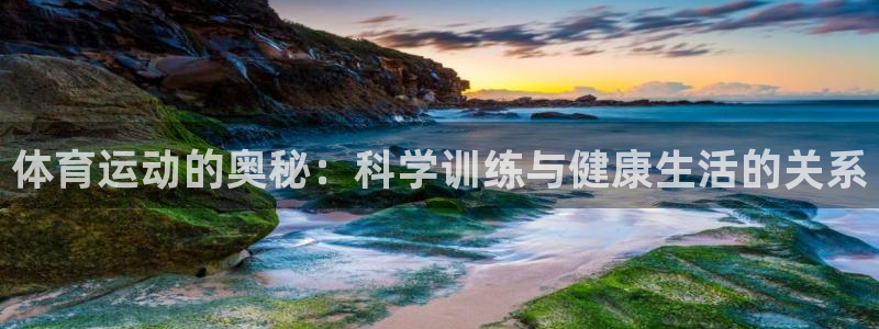 bbin视讯下：体育运动的奥秘：科学训练与健康生活的关系