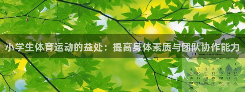 bbin视讯下：小学生体育运动的益处：提高身体素质与团队协作能力