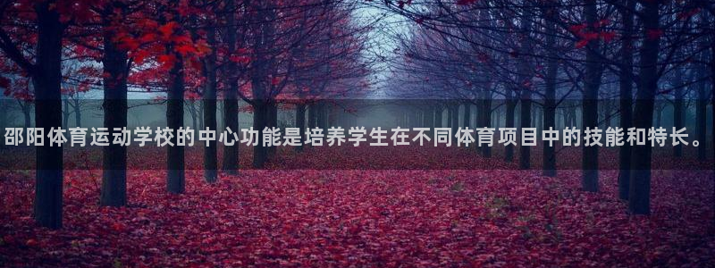 bbin视讯下：邵阳体育运动学校的中心功能是培养学生在不同体育项目中的技能和特长。