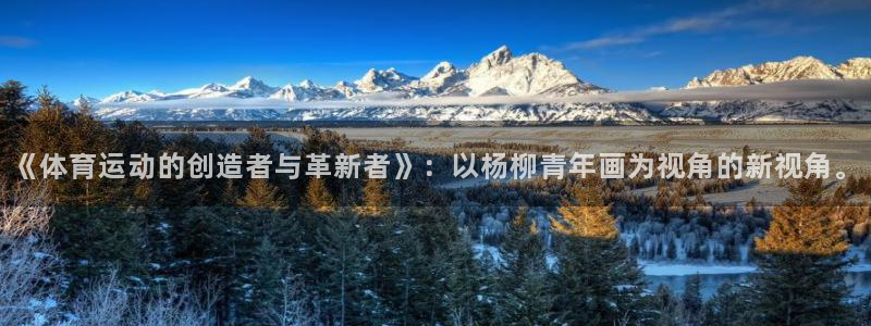 bbin视讯游戏平台：《体育运动的创造者与革新者》：以杨柳青年画为视角的新视角。